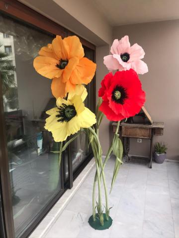 İtalyan Krep Bloom Gelincik Karışık