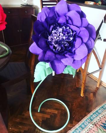 İtalyan Mor  Açık Bloom