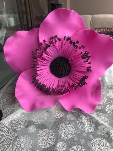 Eva Pembe Gelincik