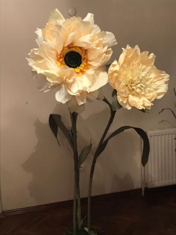 İtalyan Şeftali Krep Bloom