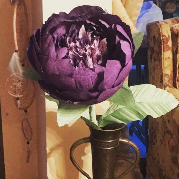 Mor Krep Bloom.jpe