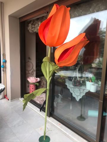 Bloom Turuncu Lale