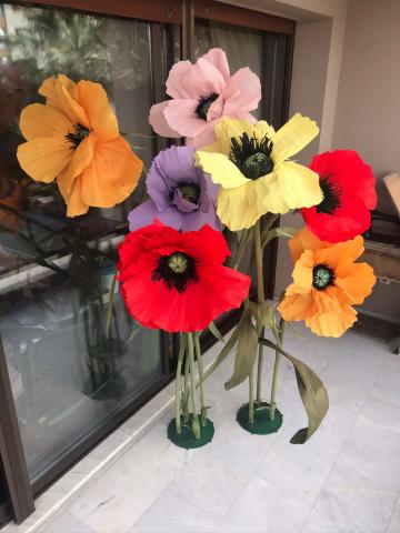 İtalyan Krep Bloom Gelincik Karışık 3
