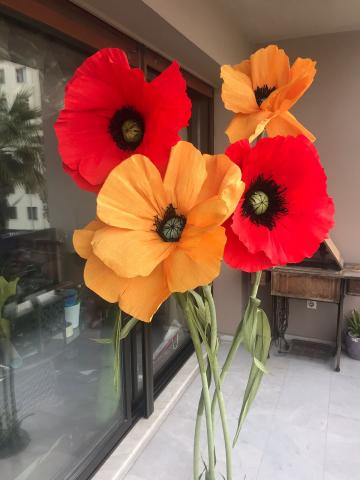 İtalyan Krep Bloom Gelincik Karışık 2