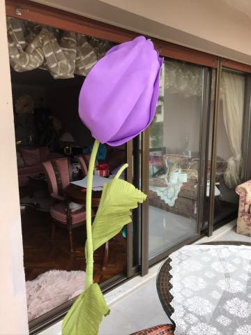 Bloom Mor Lale